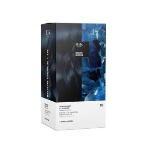 IGK Permanent Hair Dye Color Kit | 5N Back To Brown – Natural Brown | 100% Gray Color Coverage + Strengthen + Shine | Ammonia Free(Darkest Blue Black)